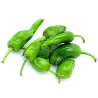 Pimiento Choricero Gernika