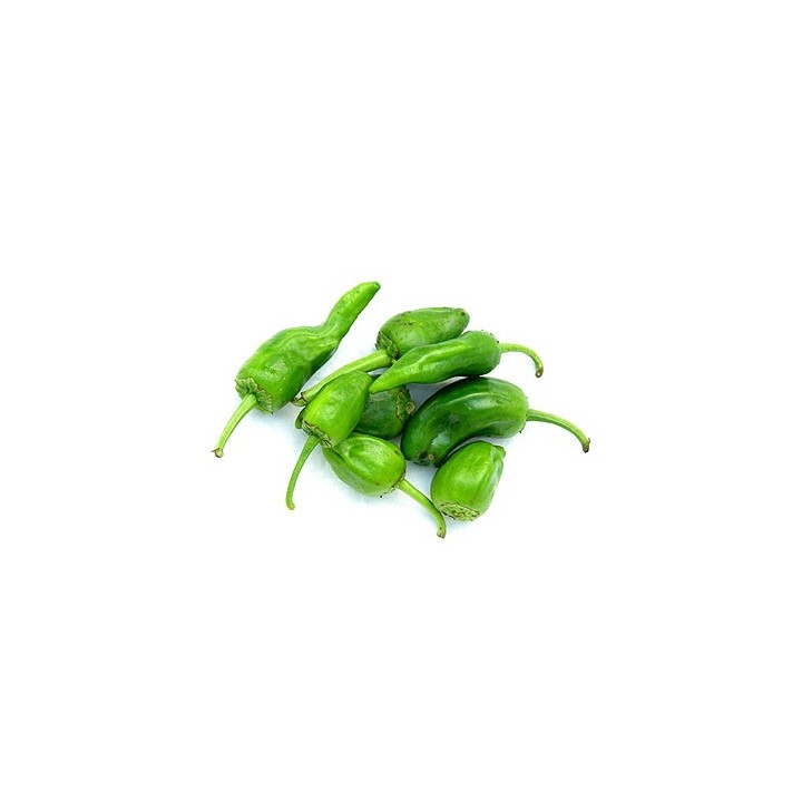 Pimiento Choricero Gernika