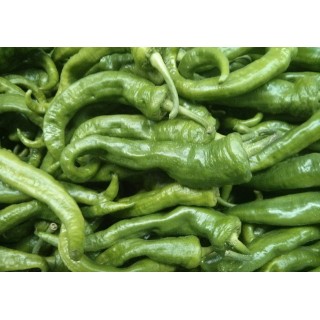 Pimiento Cuerno Cabra