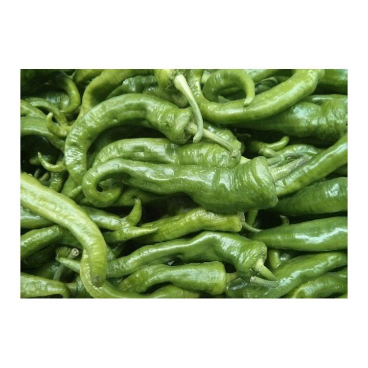 Pimiento Cuerno Cabra