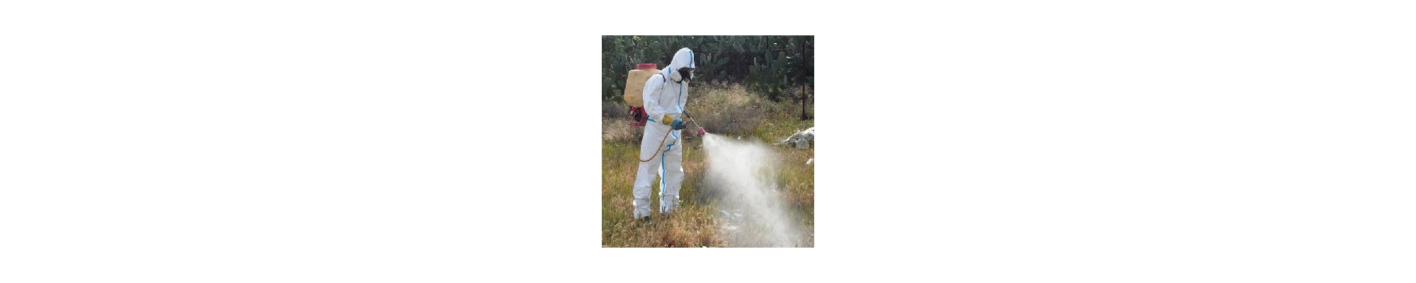 Fito sanitarios para el Jardin